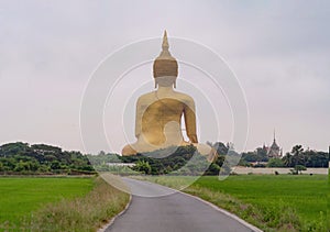 The Giant Golden Buddha in Wat Muang in Ang Thong district with paddy rice field near Bangkok. Urban town city, Thailand