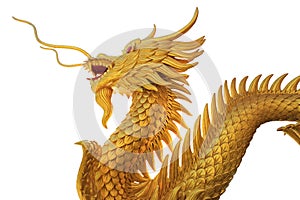 Giant golden Chinese dragon on isolate background