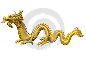 Giant golden Chinese dragon on isolate background