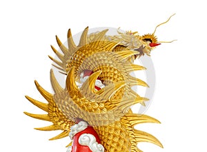 Giant golden Chinese dragon on isolate white background