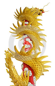 Giant golden Chinese dragon on isolate white background