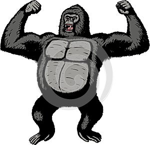 Giant Gorilla