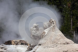 Giant Gyeser and Bijou Geyser at Yellowstone