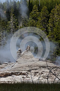 Giant Gyeser at Yellowstone National Park