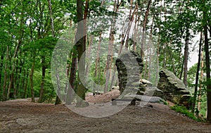 Giant head and frog rock formation, Central Bohemia