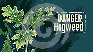 A Giant Hogweed leaf surrounded by lines symbolizing the danger and toxicity of the plant