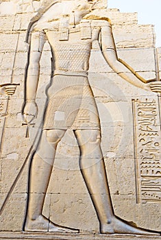The giant Horus