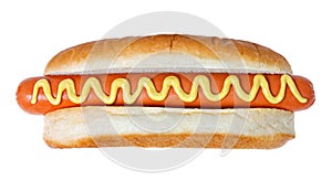 Giant Hot Dog