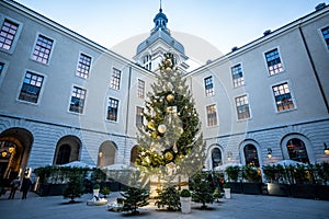 Giant illuminated Christmas tree in Saint-Martin courtyard of Grand Hotel Dieu Lyon France