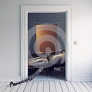 Giant insect in the room