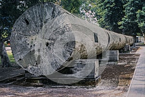 The giant Karri log in Kings Park, Perth , Australia