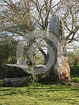 Giant of Kerzerho, huge megalith in Erdeven. Standing stones of Morbihan, france