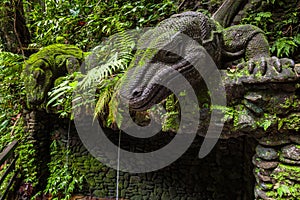 Giant Lizard in Sacred Monkey Forest Sanctuary, Ubud, Bali