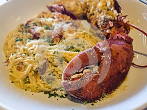 Giant lobster claw on a plate of pasta