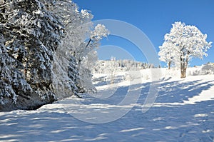 Giant Mountains / Karkonosze, Karpacz winter