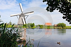 Giant of Netherlands