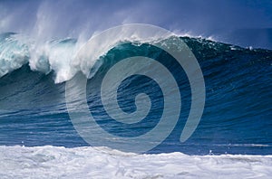 Giant Ocean wave in Hawaii