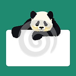 Giant panda with a sign. Black and white asian bear. Endangered species. Vector illustration