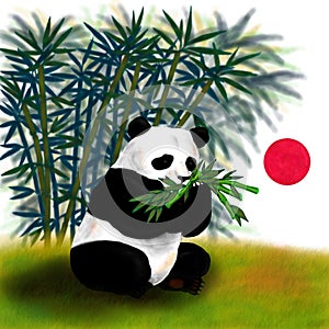 Giant panda sitting and eating bamboo The Spirit of Asia,