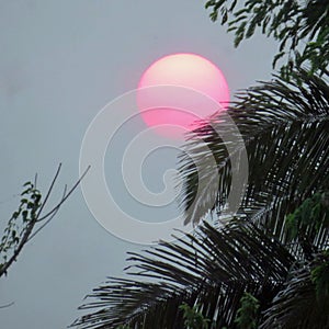 Giant pink sun behind heavy smoke