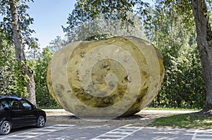 A giant potato weighing 75 tons stands in the parking lot of Ilzenberg Manor