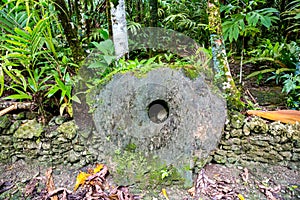 A giant prehistoric megalithic stone coin or money Rai, under trees overgrown in jungle. Micronesia, Oceania.