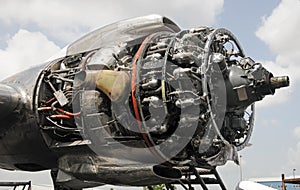 Giant radial airplane engine