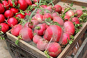 Giant red beets at the marketplace, Asia