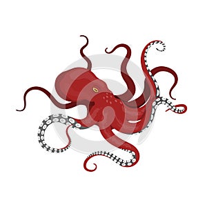 Giant red octopus on a white background. Sea monster kraken in cartoon style photo