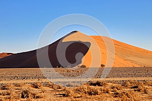 giant red sand dunes in Sossusvlei Namib Desert - Namib-Naukluft National Park, Namibia, Africa