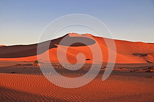 giant red sand dunes in Sossusvlei Namib Desert - Namib-Naukluft National Park, Namibia, Africa