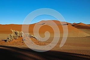 giant red sand dunes in Sossusvlei Namib Desert - Namib-Naukluft National Park, Namibia, Africa