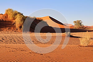 giant red sand dunes in Sossusvlei Namib Desert - Namib-Naukluft National Park, Namibia, Africa