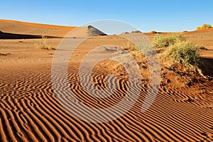 giant red sand dunes in Sossusvlei Namib Desert - Namib-Naukluft National Park, Namibia, Africa