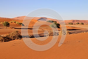 giant red sand dunes in Sossusvlei Namib Desert - Namib-Naukluft National Park, Namibia, Africa