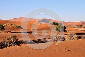 giant red sand dunes in Sossusvlei Namib Desert - Namib-Naukluft National Park, Namibia, Africa