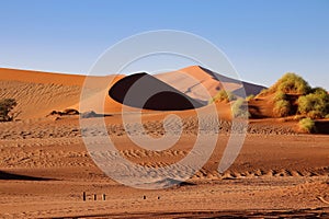 giant red sand dunes in Sossusvlei Namib Desert - Namib-Naukluft National Park, Namibia, Africa