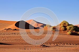 giant red sand dunes in Sossusvlei Namib Desert - Namib-Naukluft National Park, Namibia, Africa