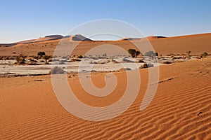 giant red sand dunes in Sossusvlei Namib Desert - Namib-Naukluft National Park, Namibia, Africa