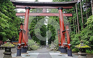 Giant red tori at hongu fuji sengen shrine photo