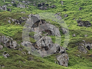 Giant rock formations in a nature reserve with humid weather