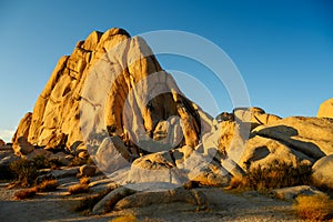 Giant Rocks in the Joshua Tree National Park, California