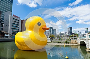 Giant Rubber Duck at Osaka