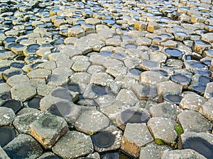 Giant`s Causeway, Antrim Co., Northern Ireland, UK, Europe