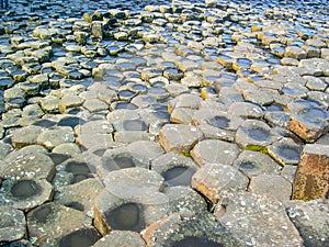 Giant`s Causeway, Antrim Co., Northern Ireland, UK, Europe