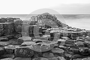 The Giant`s Causeway Black and White photo