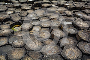 Giant`s Causeway, County Antrim, Northern Ireland