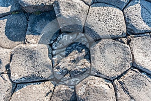 Giant s Causeway detail