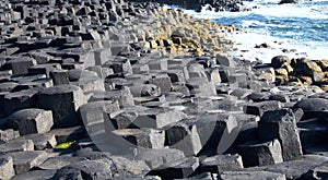 Giant`s Causeway basalt columns close-up photo