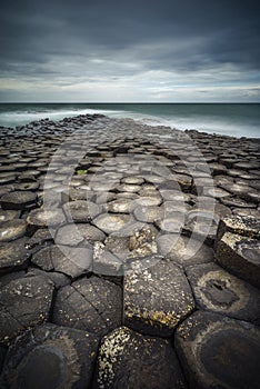 GIant`s Causeway, Northern Ireland, vertical composition